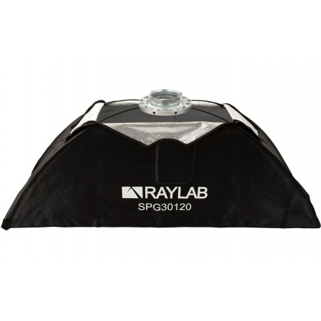 Стрипбокс Raylab SPG30120 с сотами - фото 4