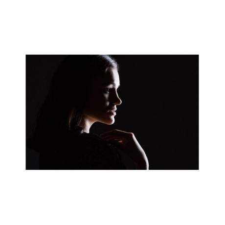 Софтбокс Lastolite LL LS3030 Ezybox Pro Strip 25x50см - фото 5