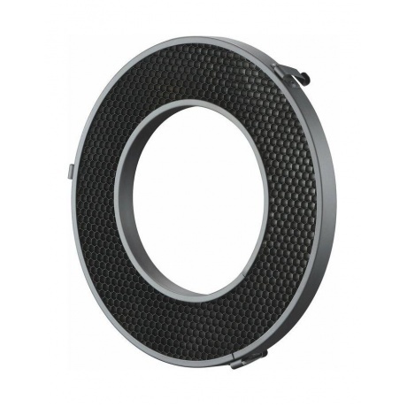 Соты Godox R200-HC20 для R200 - фото 1