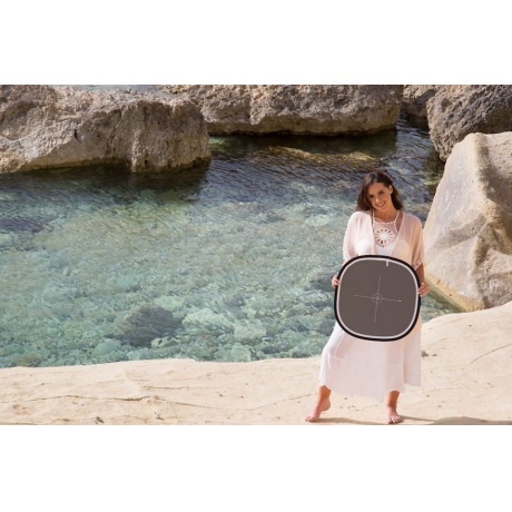 Серая карта Lastolite LL LR2050 Ezybalance - фото 2