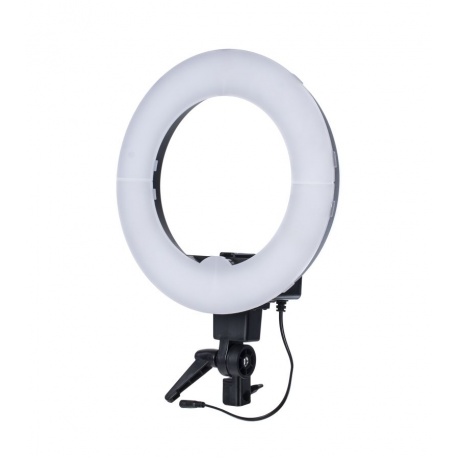 Прибор постоянного света Fancier светодиодный кольцевой FL-008 (5500K), 31 см 40W - фото 1