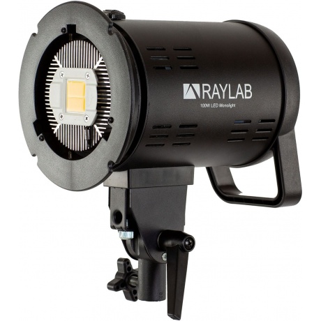 Осветитель светодиодный Raylab RL-100 Sunlight 5600K - фото 1