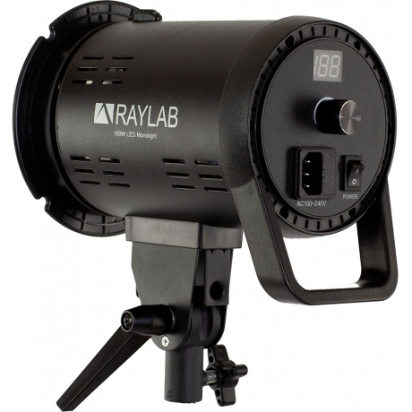 Осветитель светодиодный Raylab RL-100 Sunlight 5600K - фото 2