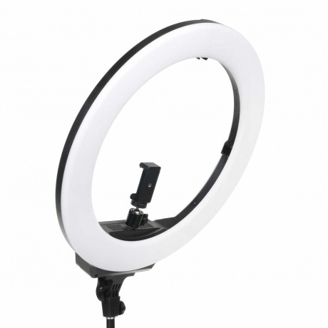 Осветитель кольцевой Falcon Eyes BeautyLight 480LS LED со стойкой - фото 2
