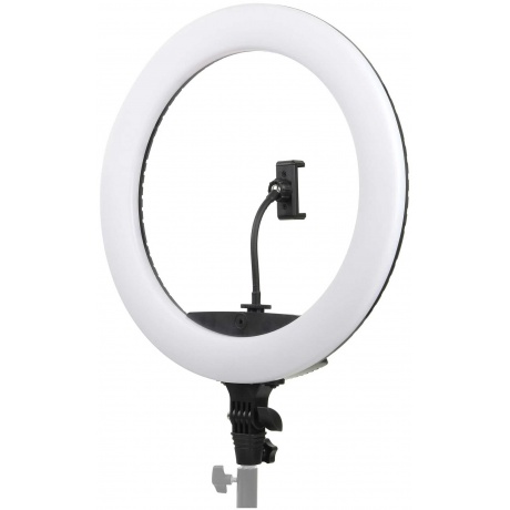 Осветитель кольцевой Falcon Eyes BeautyLight 450R LED - фото 1