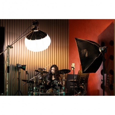 Осветитель MOLUS B200 (PLB104) - фото 10