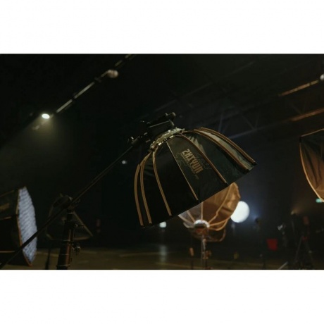 Осветитель Zhiyun Molus G300 (PLG105) - фото 29