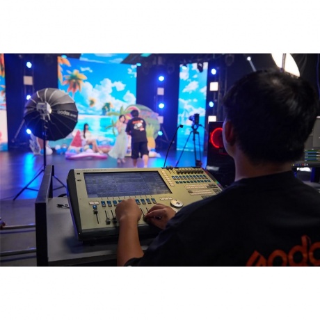 Осветитель светодиодный Godox LITEMONS LE300Bi - фото 14