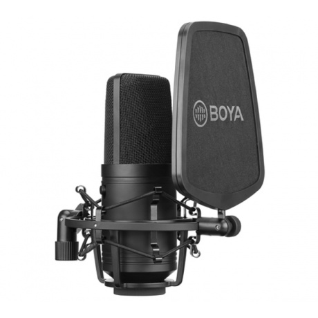 Широкомембранный кардиоидный конденсаторный микрофон Boya BY-M800 - фото 1
