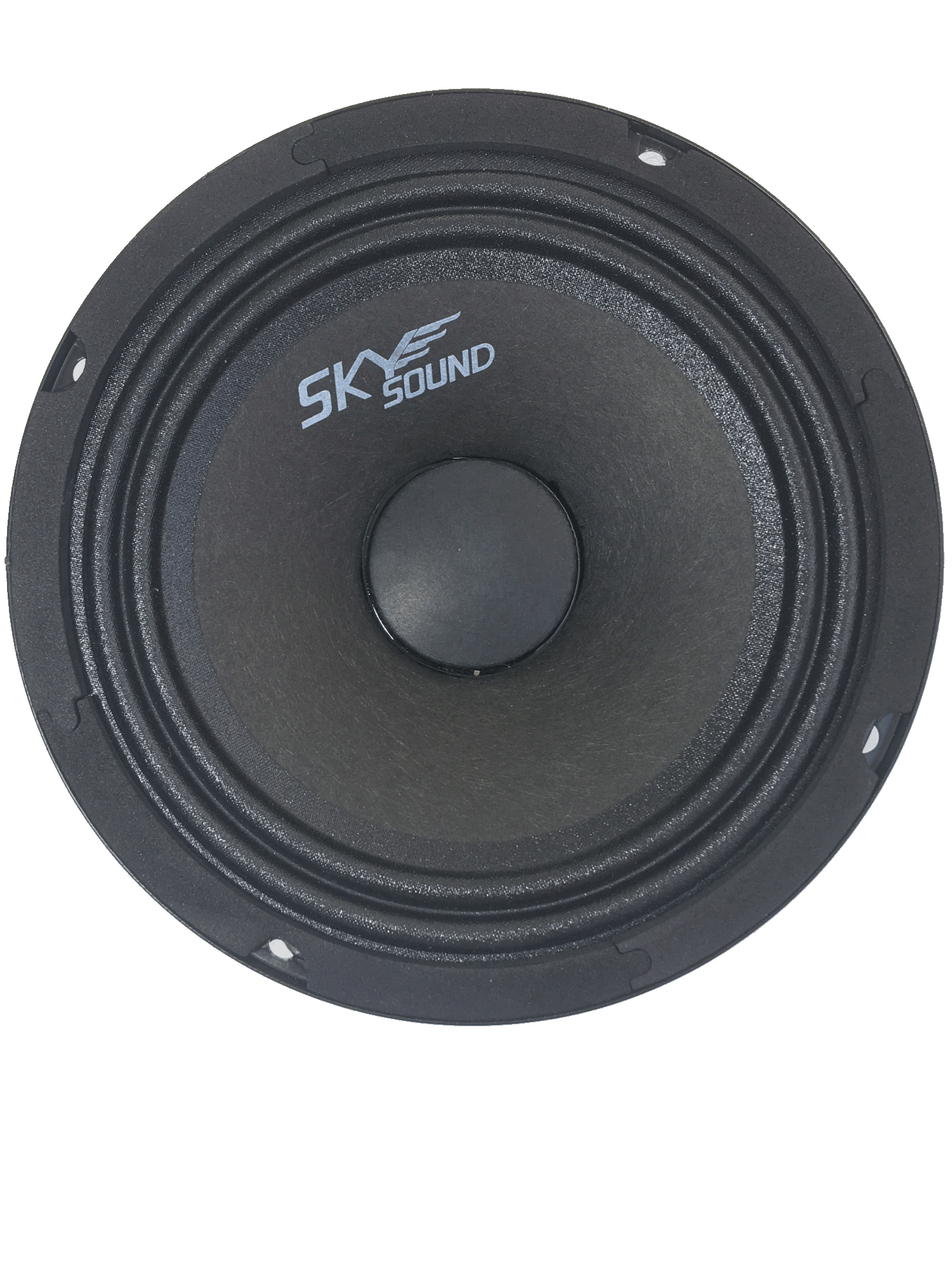 Комплект акустики Skysound Berkut SSB-65 6