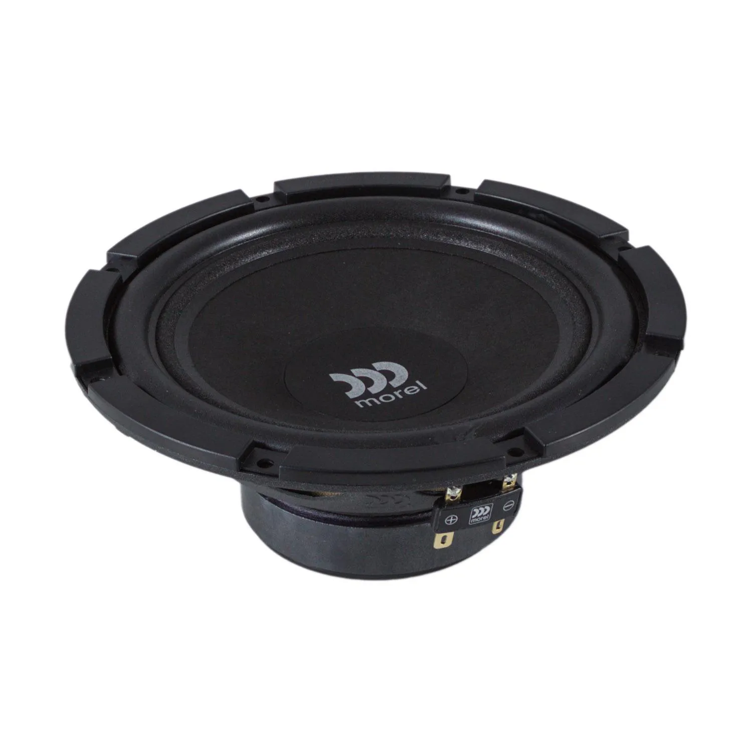 Автоакустика Morel MAXIMO 6 MKII 2-компонентная - фото 3