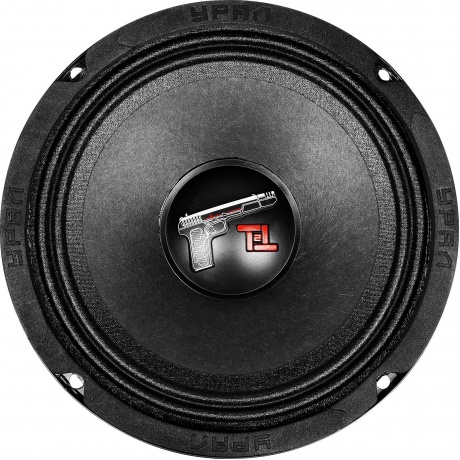 

Колонки автомобильные Ural ТТ 165.2 (без решетки) 220Вт 95дБ 4Ом 16.5см (6 1/2дюйм) (ком.:2кол.) среднечастотные однополосные