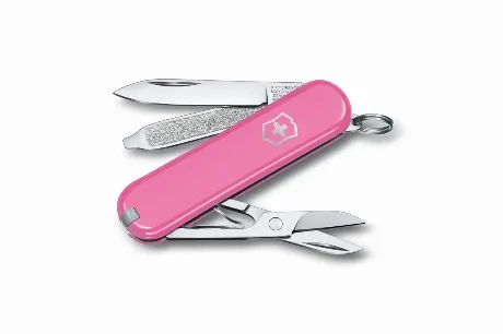 Нож-брелок Victorinox Classic SD Colors, 58 мм, 7 функций, "Cher...