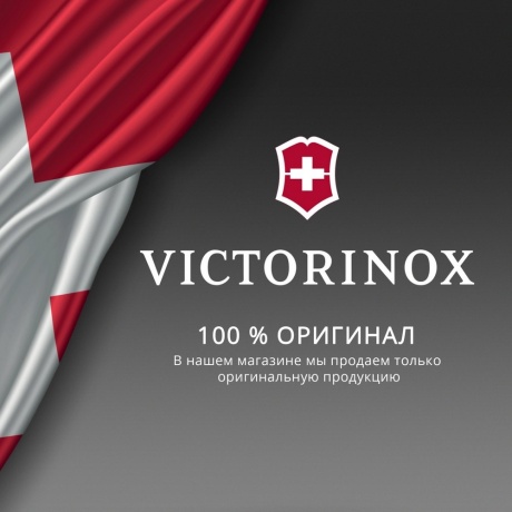 Нож перочинный Victorinox Classic SD Alox LE 2025 Stone Red, 58 мм, 5 функций, красный - фото 4
