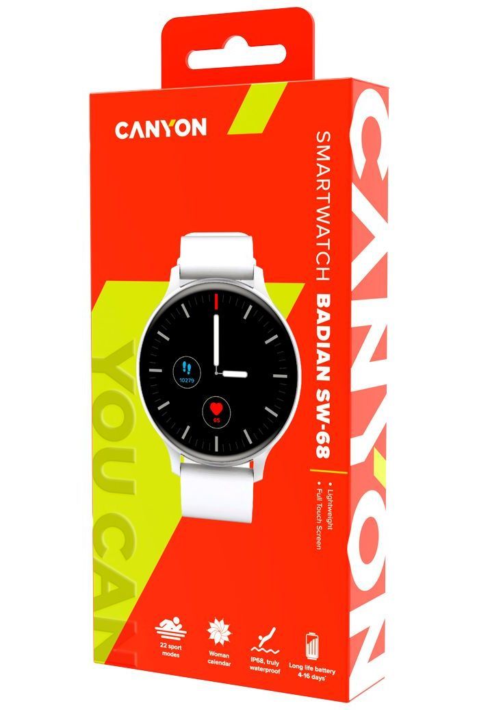 Умные часы CANYON Badian SW-68 CNS-SW68SS серебряный - фото 4