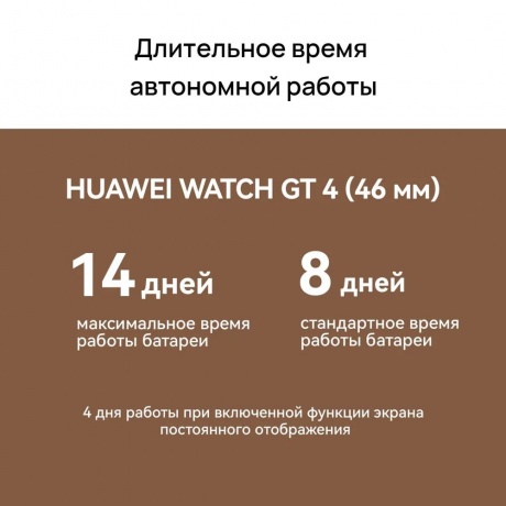 Умные часы Huawei Watch GT 4 (55020BGT) Black - фото 26