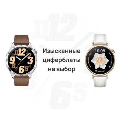 Умные часы Huawei Watch GT 4 (55020BGX) Brown - фото 25