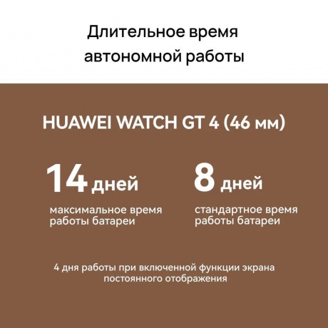 Умные часы Huawei Watch GT 4 (55020BGX) Brown - фото 26