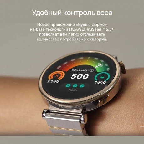 Умные часы Huawei Watch GT 4 (55020BHV) Silver - фото 27
