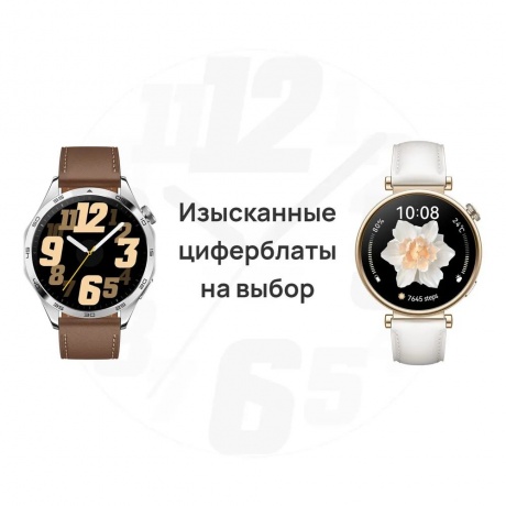 Умные часы Huawei Watch GT 4 (55020BHV) Silver - фото 25