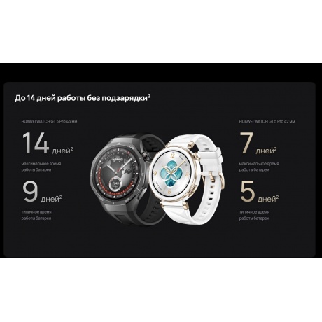 Умные часы Huawei Watch GT 5 Pro (55020DGG) Titan - фото 14