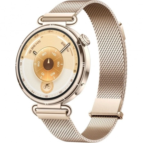 Умные часы Huawei Watch GT 6 (55020FVW) Gold Milanese