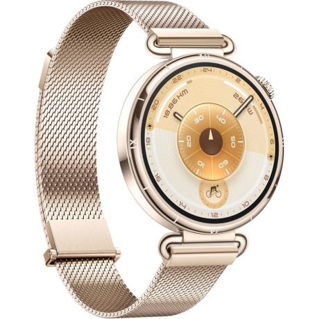 Умные часы Huawei Watch GT 6 (55020FVW) Gold Milanese - фото 2