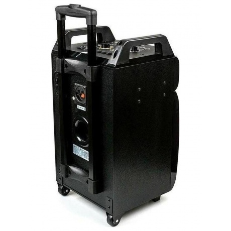 Акустическая система Dialog AO-210 Black - фото 2