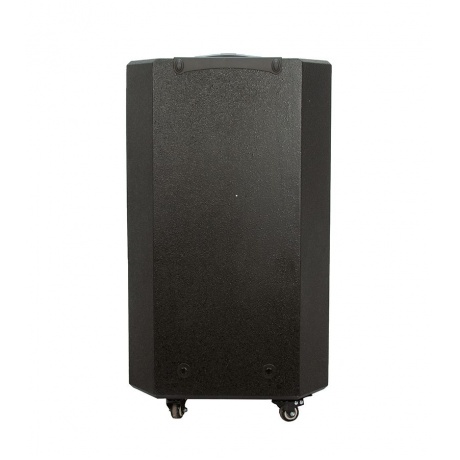 Акустическая система Eltronic Professional Box Black 20-60 - фото 3