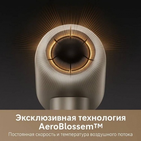 Фен Trouver Shine 10 Gold (AMSH10) - фото 9