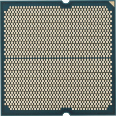 Процессор AMD Ryzen 5 8500G AM5 (100-000000931) OEM - фото 2