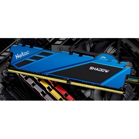 Память оперативная DDR4 Netac PC25600 8Gb 3200Mhz (NTSDD4P32SP-08B) - фото 5