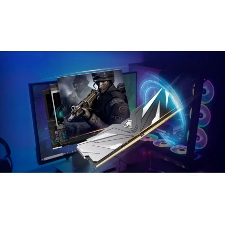 Память оперативная DDR4 Netac 16Gb 2666Mhz (NTSWD4P26SP-16K) - фото 10