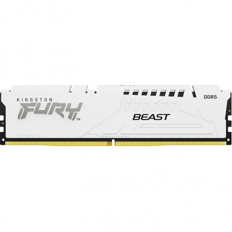 

Память оперативная Kingston DDR5 16GB 6800MHz Fury Beast White Expo RTL Gaming (KF568C34BWE-16)