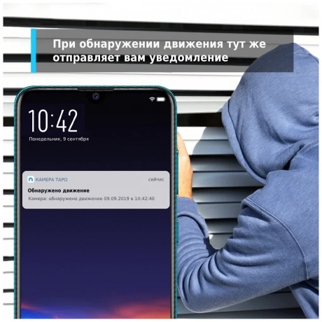 Видеокамера IP TP-Link TAPO TC70 4-4мм - фото 7