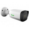 Видеокамера TIANDY TC-C32UN (I8/A/E/Y/M/2.8-12mm/V4.0)