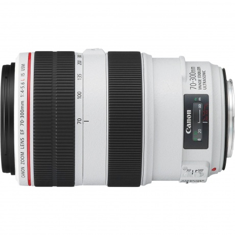 Объектив Canon EF 70-300mm f/4-5.6L IS USM - фото 1