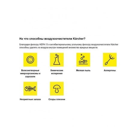 Очиститель воздуха Karcher AF 20 [1.024-820.0] - фото 32