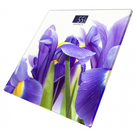 Весы напольные электронные Supra BSS-2013 рисунок - фото 2