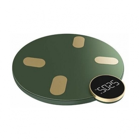 Напольные весы Haylou CM01 RU Dark green - фото 2