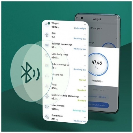 Напольные весы Haylou CM01 RU Dark green - фото 3