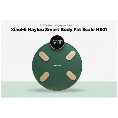 Напольные весы Haylou CM01 RU Dark green - фото 4