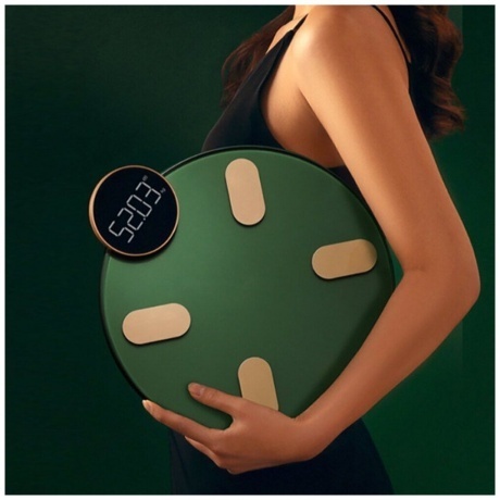 Напольные весы Haylou CM01 RU Dark green - фото 8
