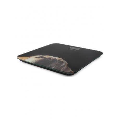 Весы напольные электронные Hyundai H-BS03674 макс.180кг черный - фото 4