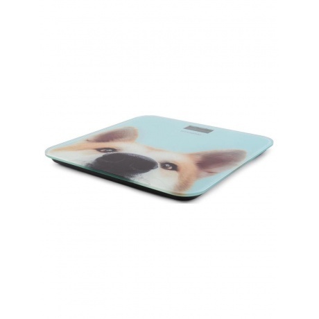 Весы напольные электронные Hyundai H-BS03680 макс.180кг голубой - фото 9