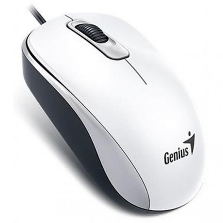 Мышь Genius DX-110 White USB (31010116102) - фото 1