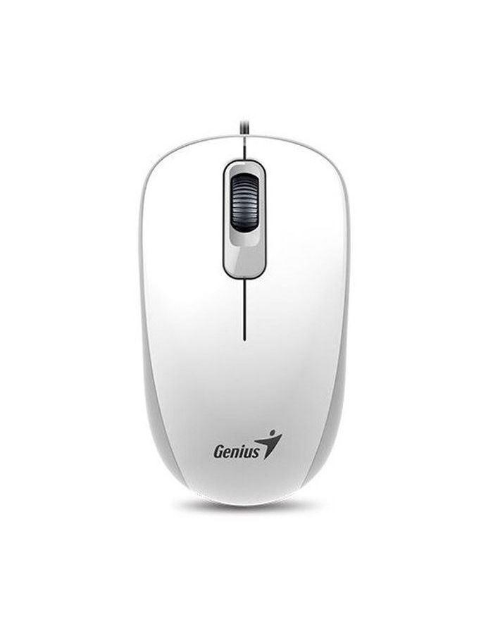 цена Мышь Genius Mouse DX-110 (31010009401) White