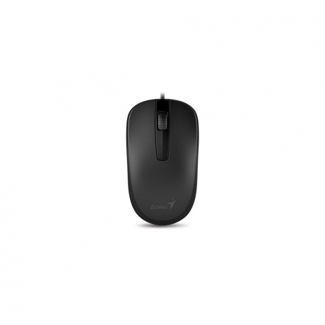 Мышь Genius Mouse DX-120 (31010010400) Black - фото 1