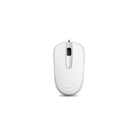 Мышь Genius Mouse DX-120 (31010010401) White - фото 1