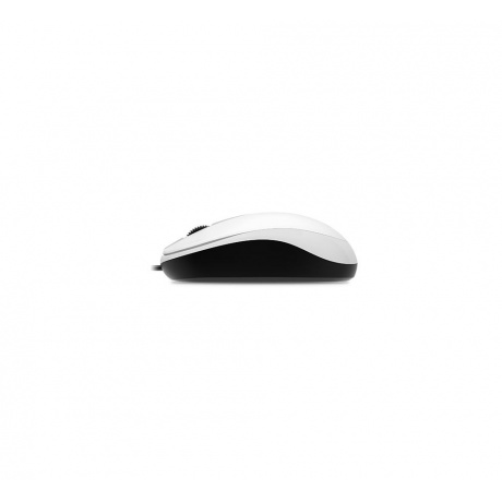 Мышь Genius Mouse DX-120 (31010010401) White - фото 3
